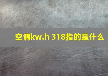 空调kw.h 318指的是什么